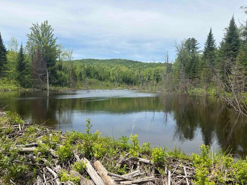 0 Old Pond Hill Road, Lunenburg, VT, 05906 | Card Image