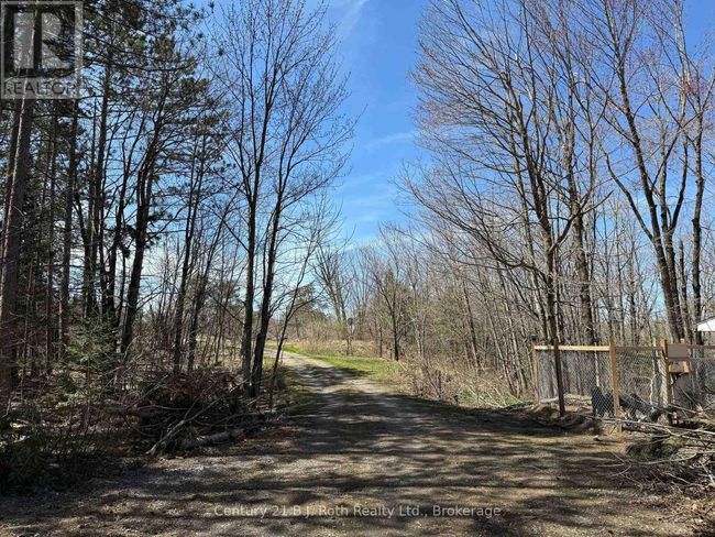 1087 Merkley Rd, House other with 2 bedrooms, 3 bathrooms and 10 parking in Gravenhurst ON | Image 5