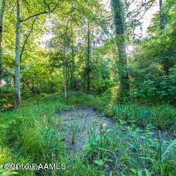 Land in St. Martinville 5