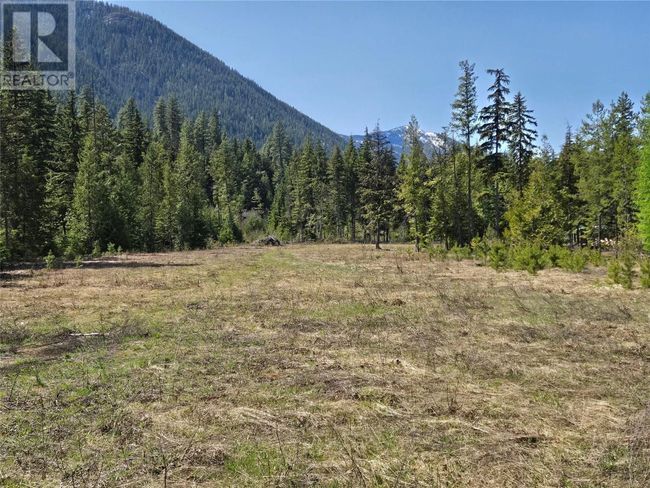 3809 Passmore Upper Rd, Home with 0 bedrooms, 0 bathrooms and null parking in Passmore BC | Image 15