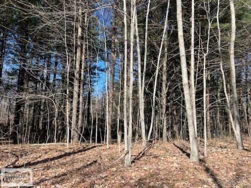 0 Burton Rd, Capac, MI, 48014 | Card Image