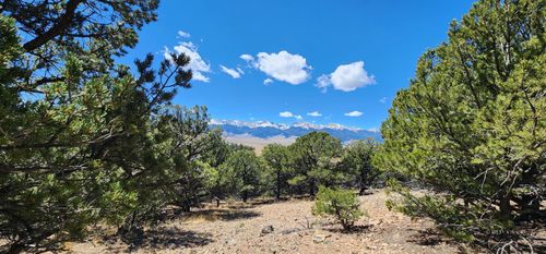 1705 Co Rd 310, Westcliffe, CO, 81252 | Card Image