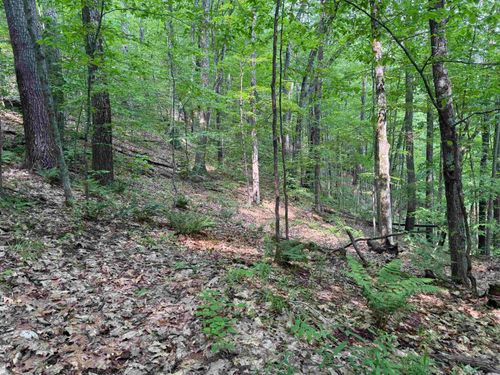 0 Ober Hill Rd, Townshend, VT, 05353 | Card Image