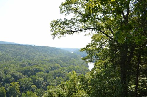 Lot 12 Timberline Rd, Heber Springs, AR, 72543 | Card Image