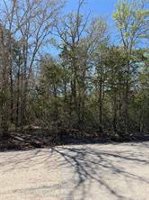 Lot 539 Iva Lane, Bastrop, TX, 78602 | Card Image