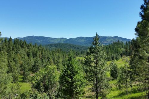 20 Acres S Starr Rd, Rockford, WA, 99030 | Card Image