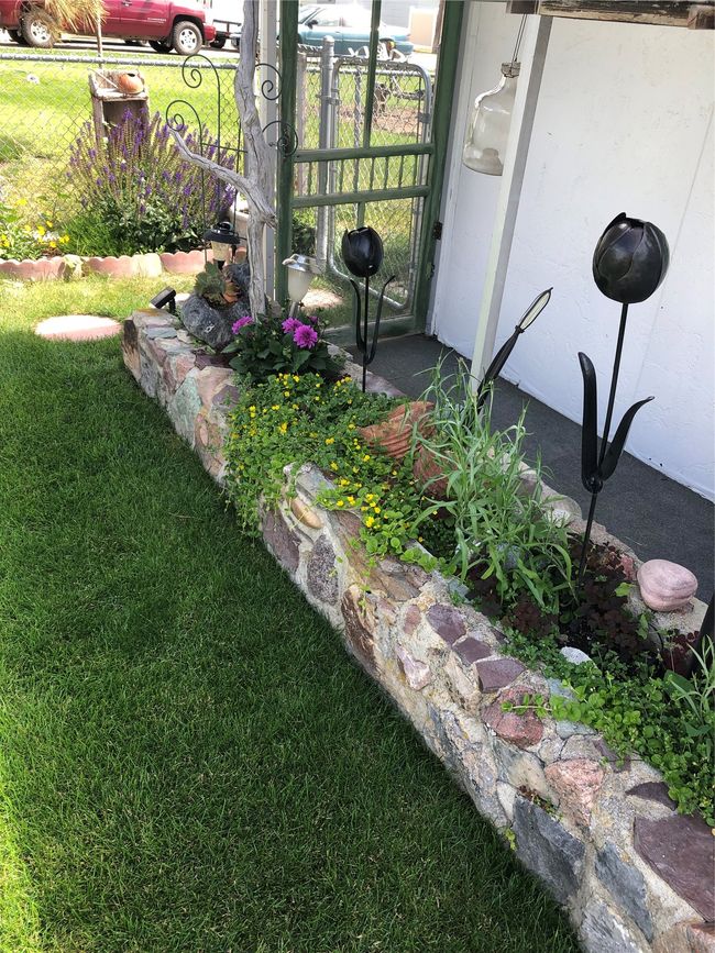 View of grassy yard | Image 26