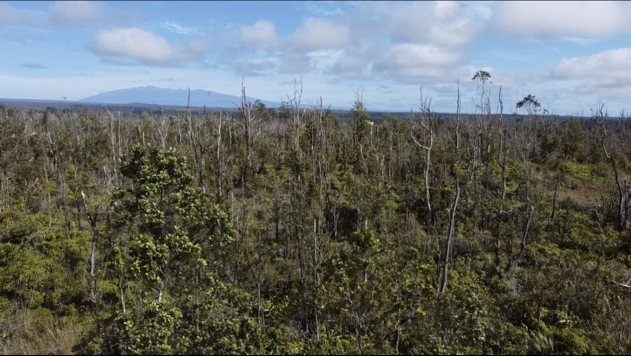 Land in Volcano 5
