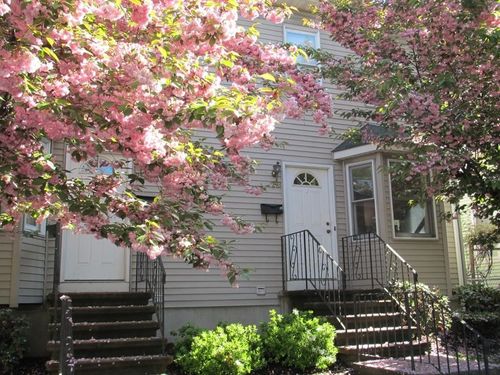 299-299 River St, Waltham, MA, 02453-6007 | Card Image