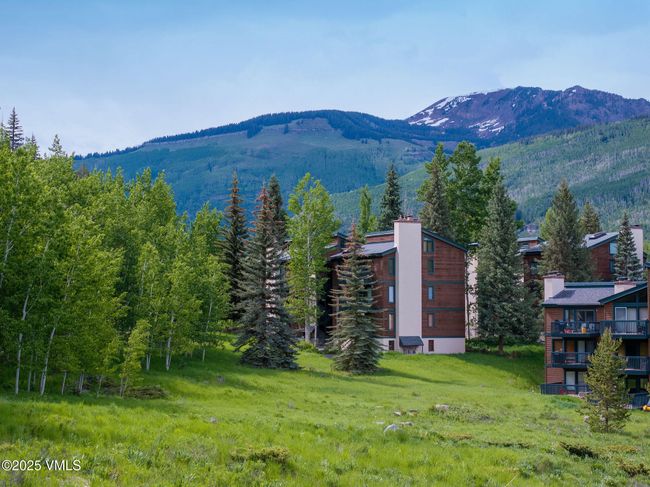 1407 - 4470 Timber Falls Ct, Condo with 4 bedrooms, 3 bathrooms and null parking in Vail CO | Image 18