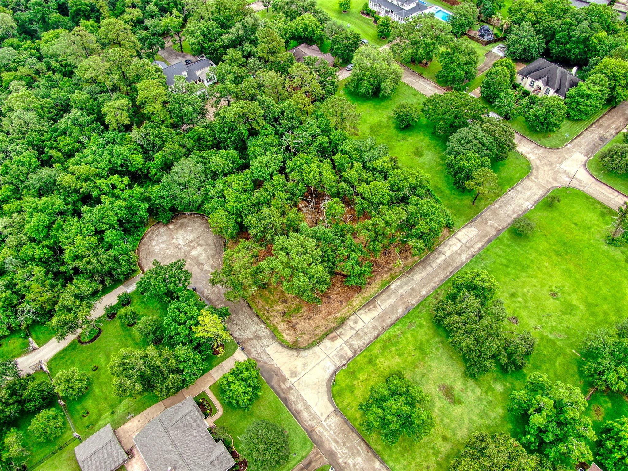 Land in Friendswood 5