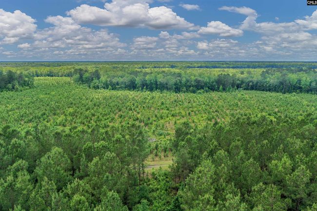 0000 N Brewington Rd, Home with 0 bedrooms, 0 bathrooms and null parking in Manning SC | Image 17