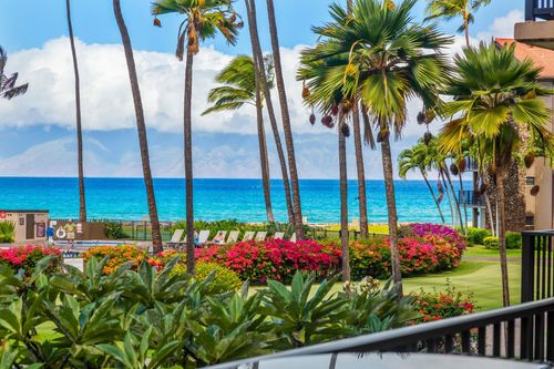 c204-3543 Lower Honoapiilani Rd, Lahaina, HI, 96761 | Card Image
