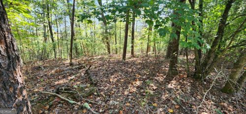 LOT 1699 Shade Tree Drive, Talking Rock, GA, 30175 | Card Image