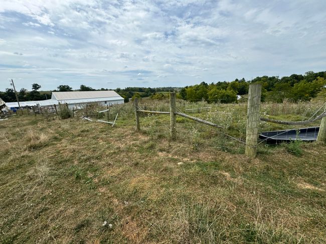 2076 Bald Hill Rd, Home with 5 bedrooms, 1 bathrooms and null parking in Hillsboro KY | Image 31
