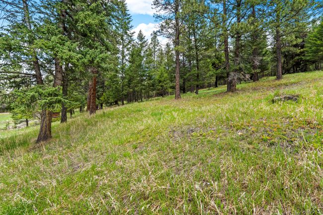 Sloped, partially cleared forested area | Image 49