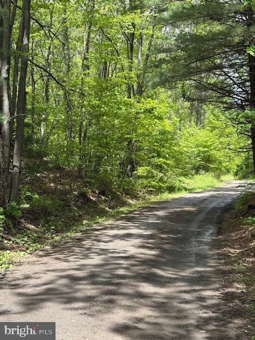 0 Little Wolf Rd, CLARENCE, PA, 16829 | Card Image