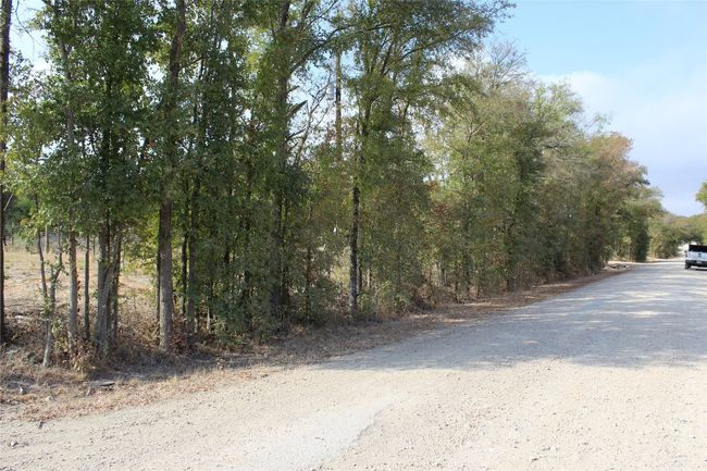 1567 Boggy Creek Rd, House other with 3 bedrooms, 2 bathrooms and 4 parking in Lockhart TX | Image 11