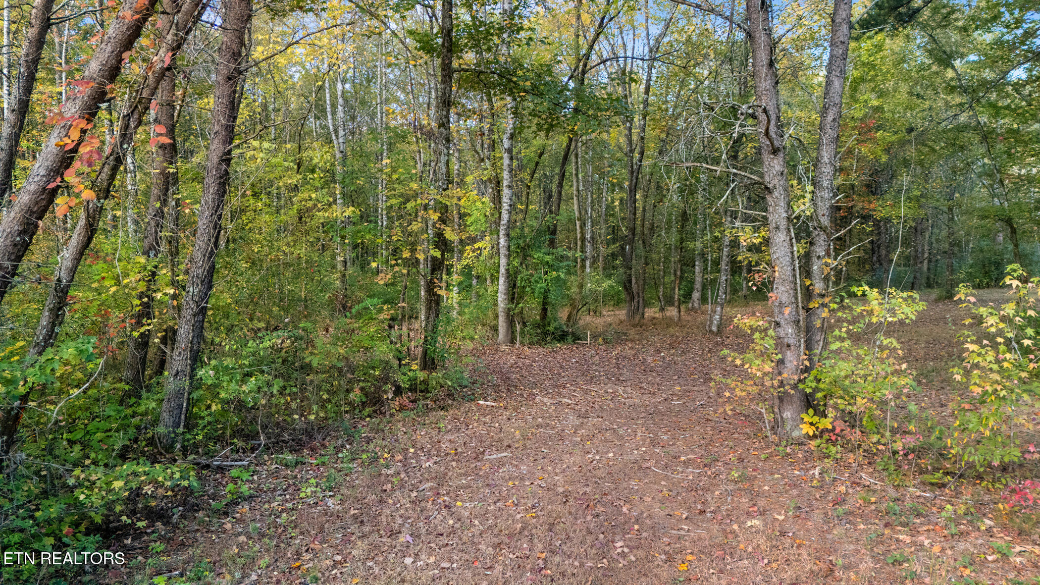Land in Maryville 4