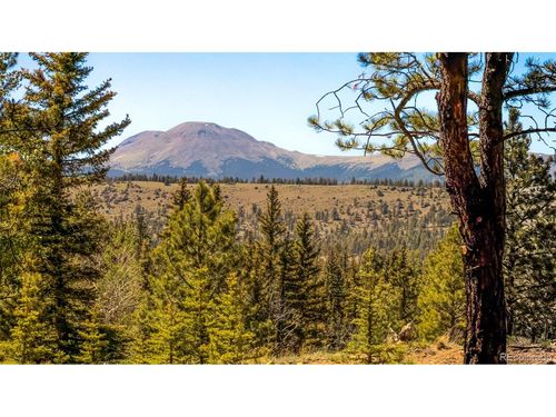 120 Chubb, Buena Vista, CO, 81211 | Card Image
