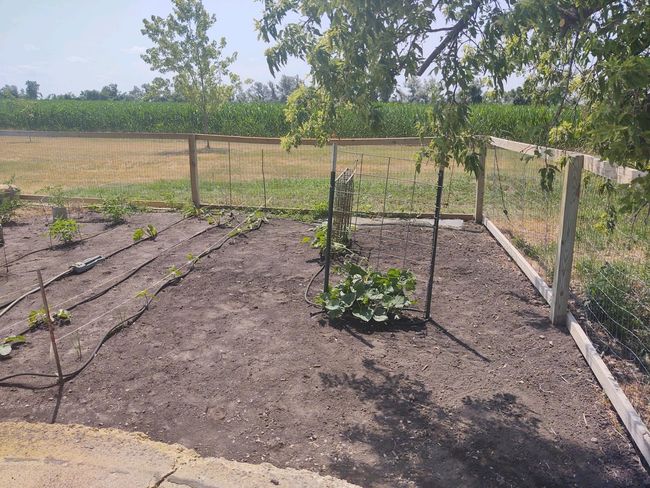Garden | Image 92