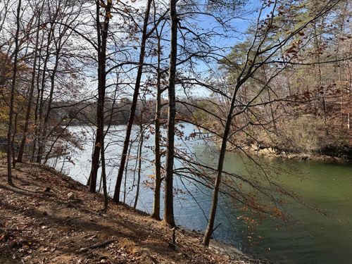 LOT 9 Tiki Ter, Goodview, VA, 24095 | Card Image