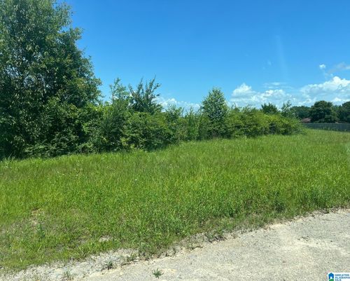 none-1 Highway 81, VINCENT, AL, 35178-7908 | Card Image