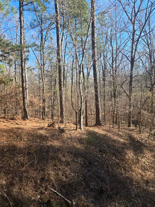 00 Bay Shore Dr, Lincolnton, GA, 30817 | Card Image