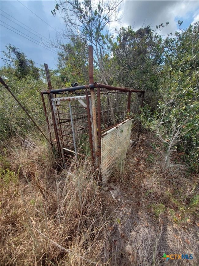 Hog trap | Image 8