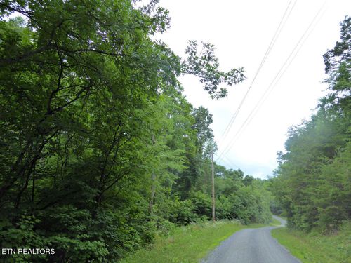 550-551 Spring Ln, White Pine, TN, 37890 | Card Image