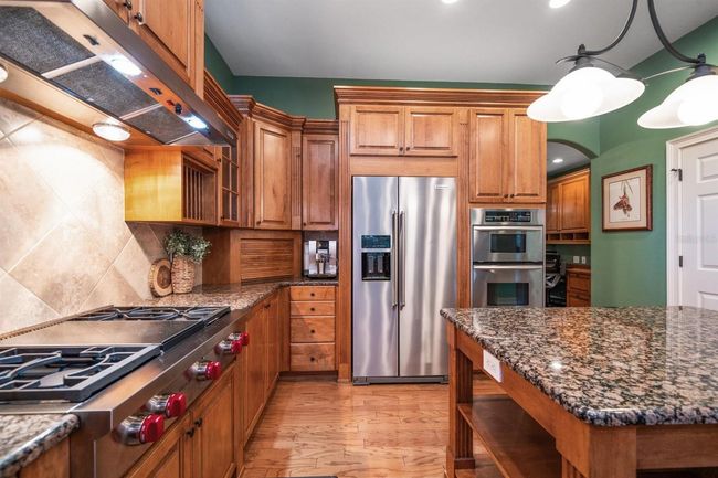 667 Richmond Close, House other with 5 bedrooms, 7 bathrooms and null parking in TARPON SPRINGS FL | Image 30
