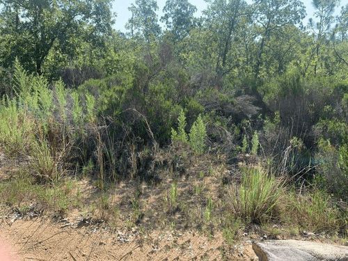 214 Marion Trl, Interlachen, FL, 32148 | Card Image