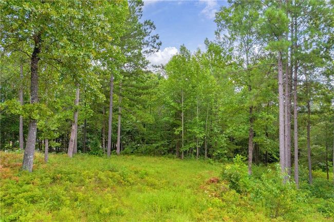 0 Currahee Club Dr, Home with 0 bedrooms, 0 bathrooms and null parking in Toccoa GA | Image 18