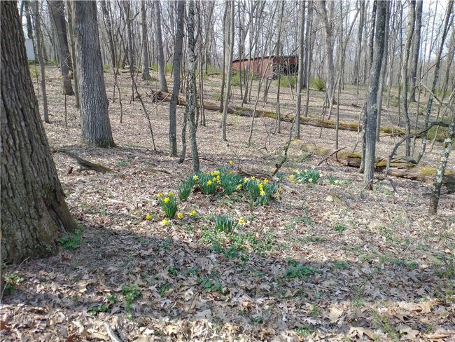 143 Gracie Ln, Home with 0 bedrooms, 0 bathrooms and null parking in Mars PA | Image 23