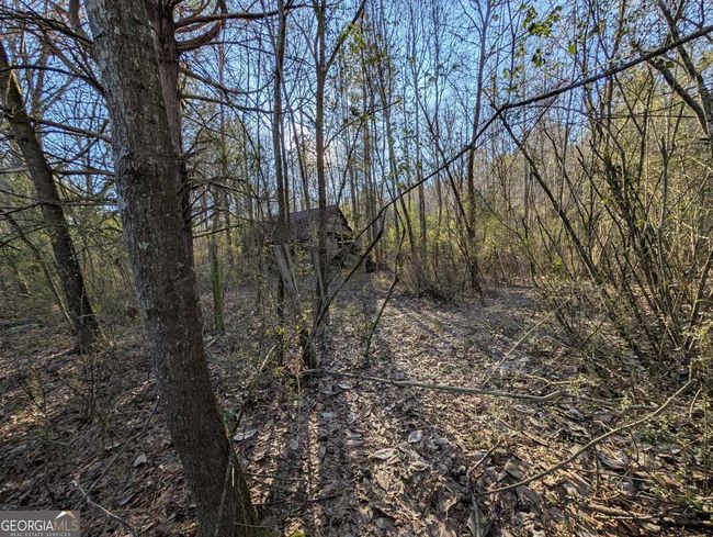 0 Ridgeway Rd, Home with 0 bedrooms, 0 bathrooms and null parking in Trion GA | Image 16
