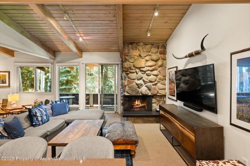 213-700 S Ute Ave, Aspen, CO, 81611-2195 | Card Image