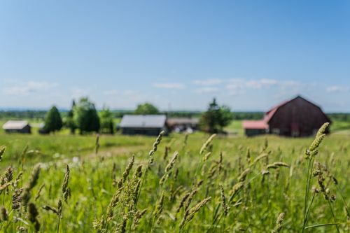 1215 1er Rang, Saint-Antonin, QC, G0L2J0 | Card Image