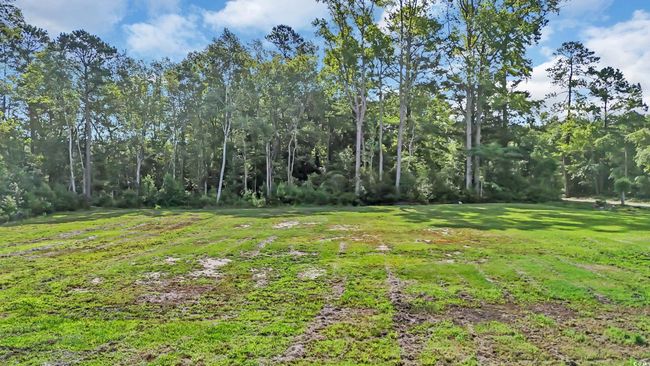 3845 Hillside Dr, Home with 0 bedrooms, 0 bathrooms and null parking in Conway SC | Image 32