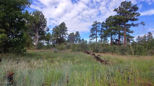 5139 Highway 260, Clay Springs, AZ, 85923 | Card Image