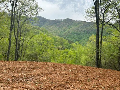 Lot 8 Blackberry Bend, Bryson City, NC, 28713 | Card Image