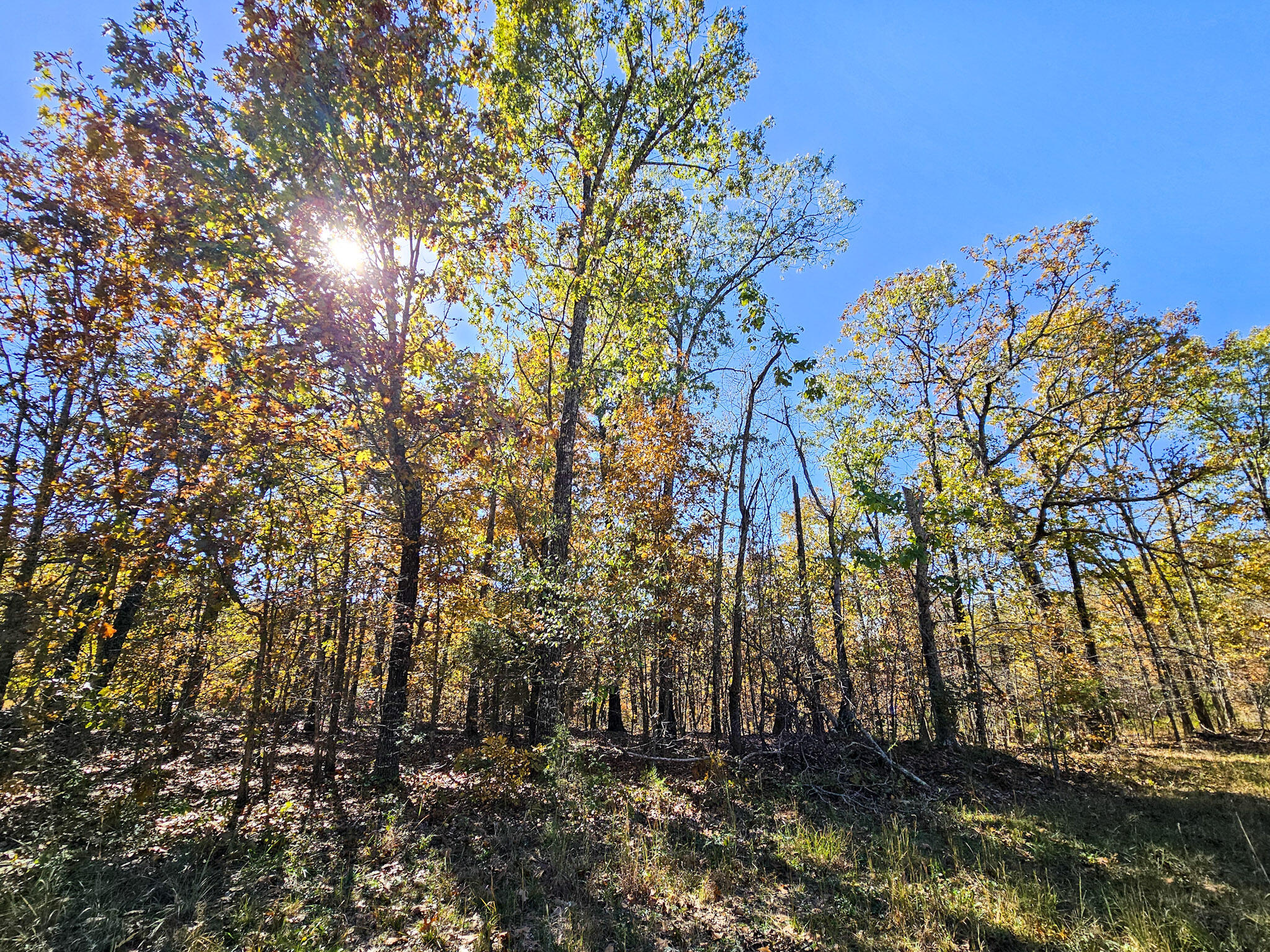 Land in Mountain View 5