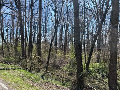 0 Old 421 Yadkin Rd, Hamptonville, NC, 27020 | Card Image