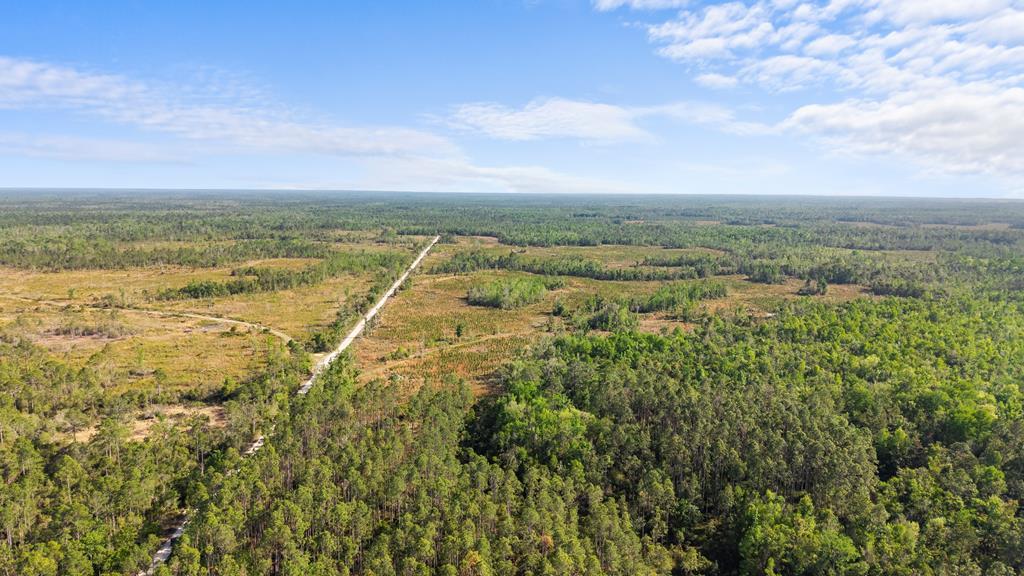 Land in Steinhatchee