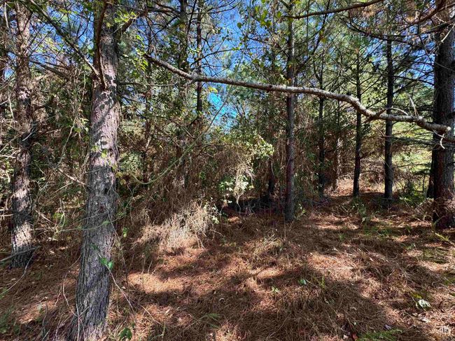 00 Calico Rd, Home with 0 bedrooms, 0 bathrooms and null parking in Clinton AR | Image 25