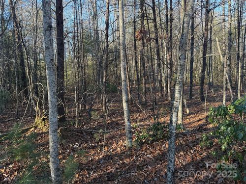 16-16-16-16 Waters Edge Dr, Nebo, NC, 28761-9400 | Card Image