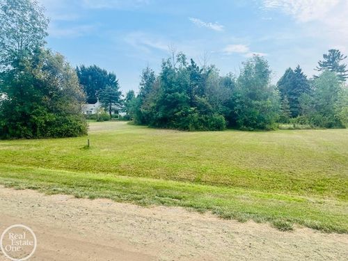 Lots 14 & 15 Chippewa Trail, Worth Township, MI, 48450 | Card Image