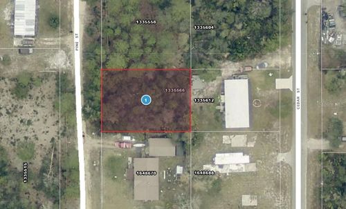 14-17-28-0200-009-01400 Pine Street, Paisley, FL, 32767 | Card Image