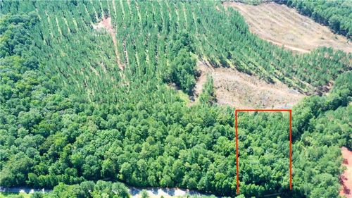 165 Jamesway Dr, Sparta, GA, 31087-4545 | Card Image