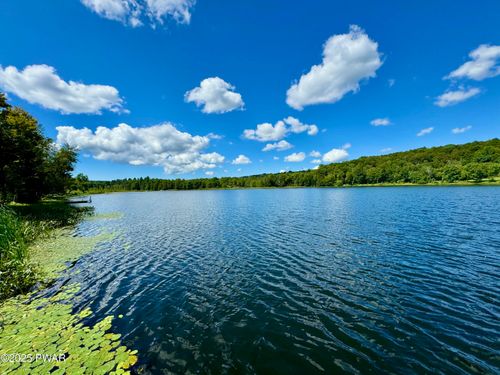 76 S Shore Rd, Pleasant Mount, PA, 18453-4579 | Card Image