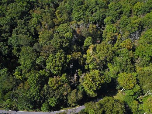 TBD Red Clover Rd, Banner Elk, NC, 28604 | Card Image